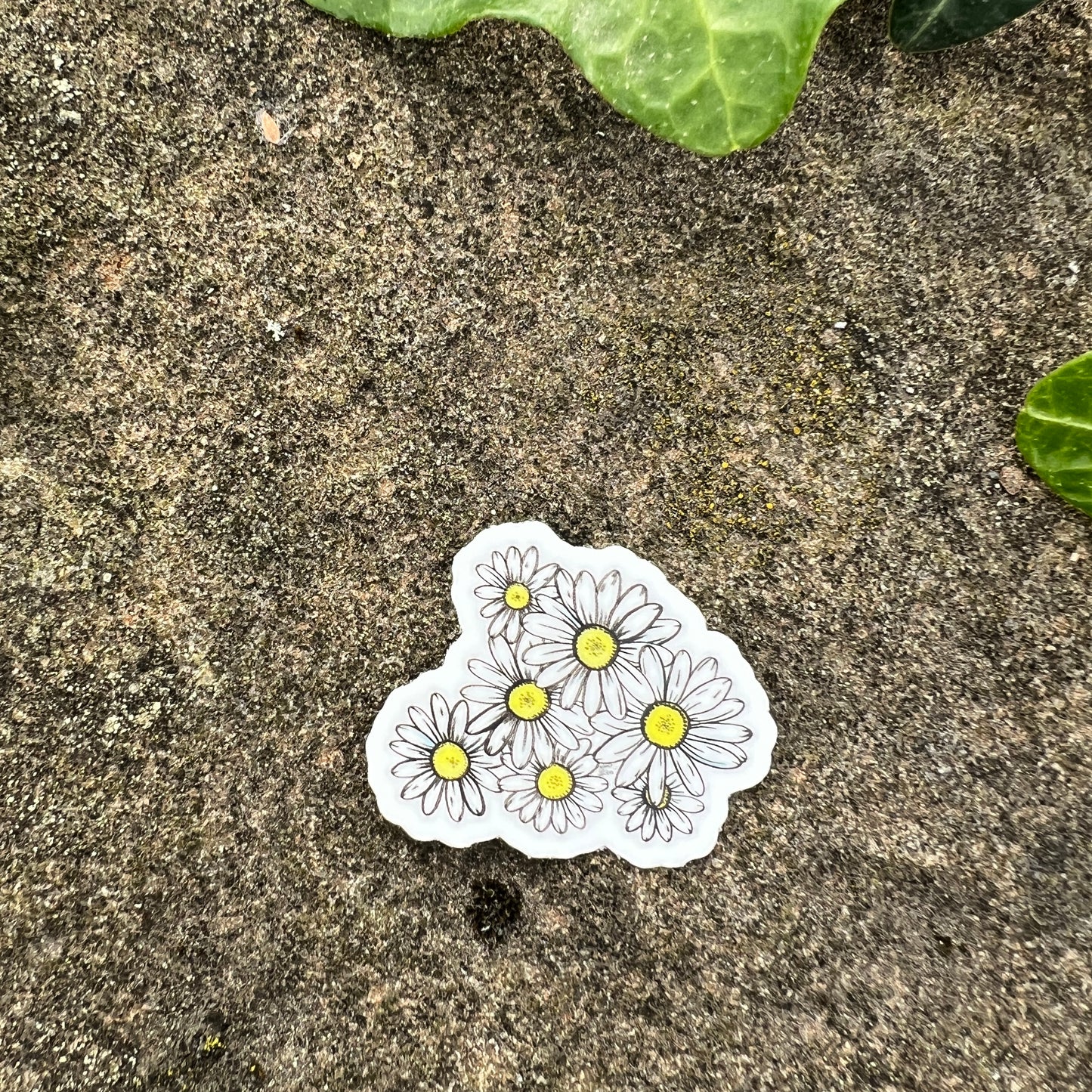 PNW Daisies Mini Sticker- Durable Hand-Drawn Nature Art