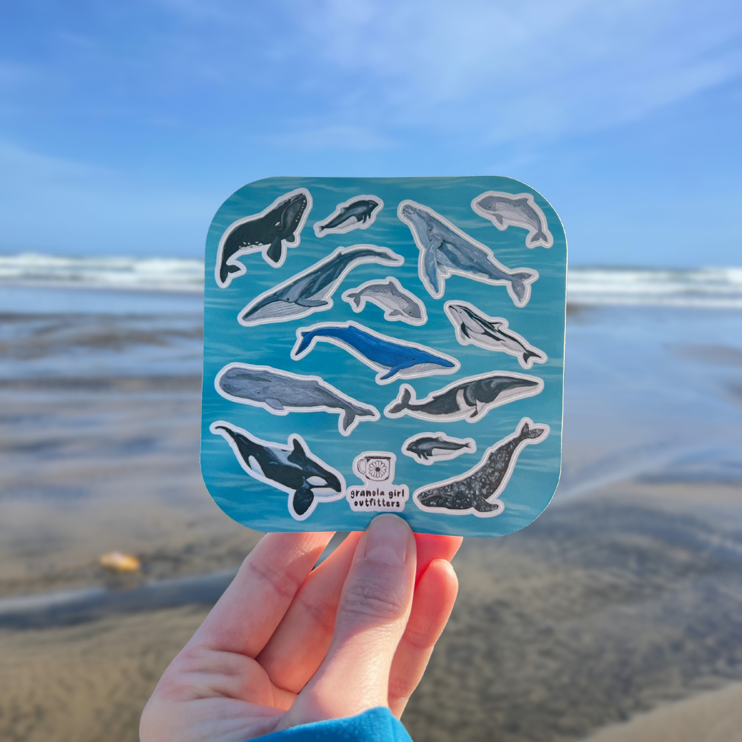 Whales of the Pacific Northwest Sticker Sheet