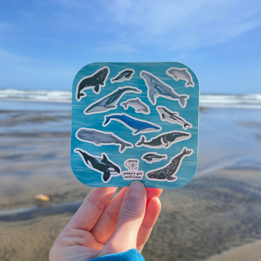 Whales of the Pacific Northwest Sticker Sheet