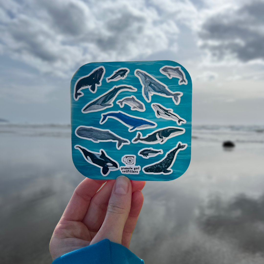 Whales of the Pacific Northwest Sticker Sheet
