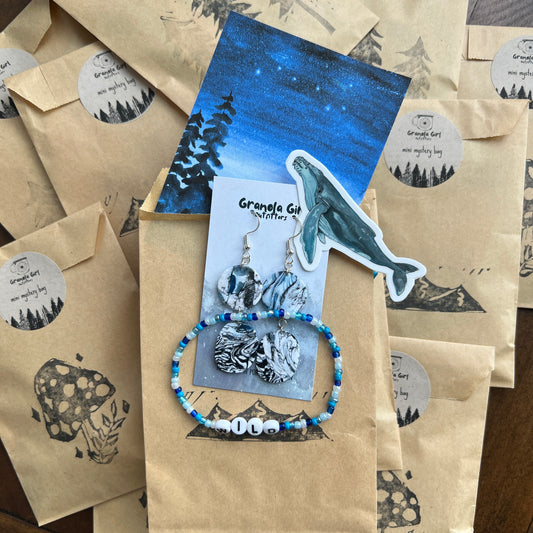 Mini Mystery Bag