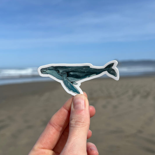 Humpback Whale Sticker