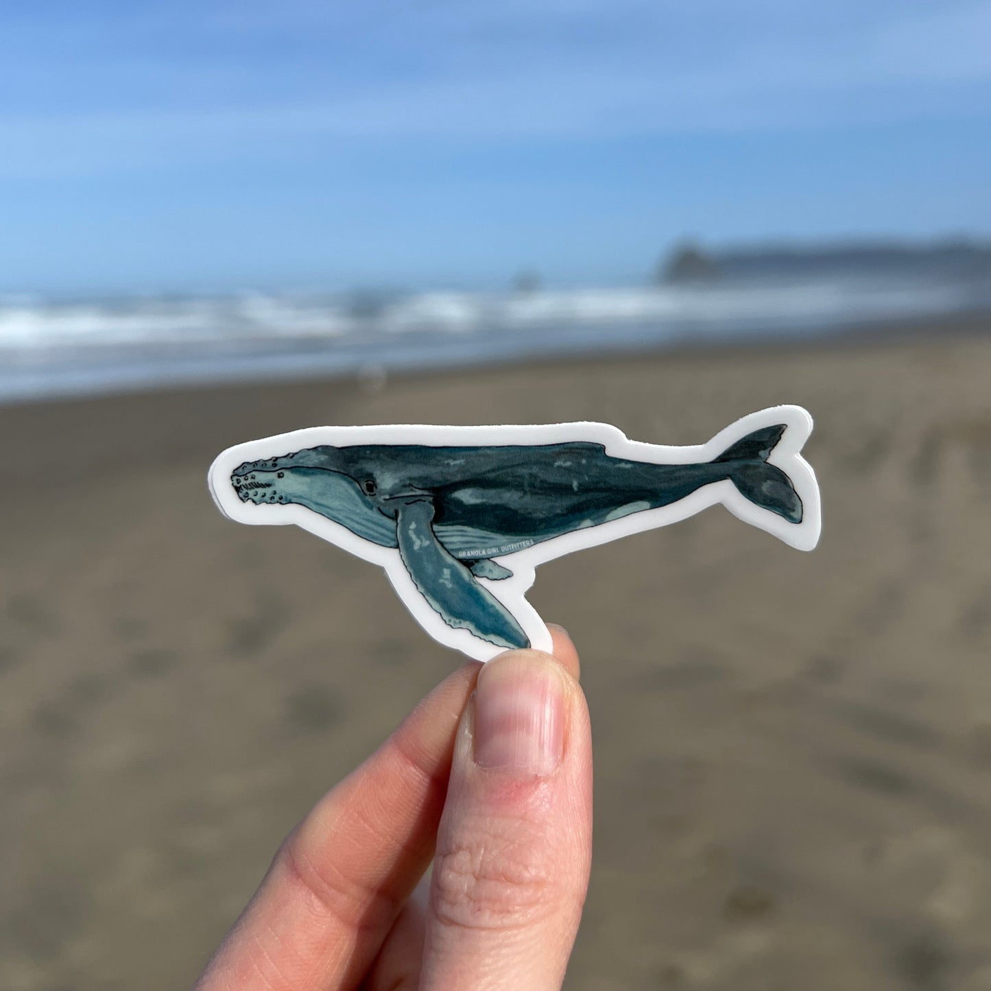 Humpback Whale Sticker