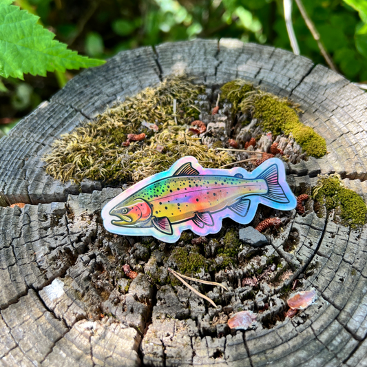 Rainbow Trout Sticker