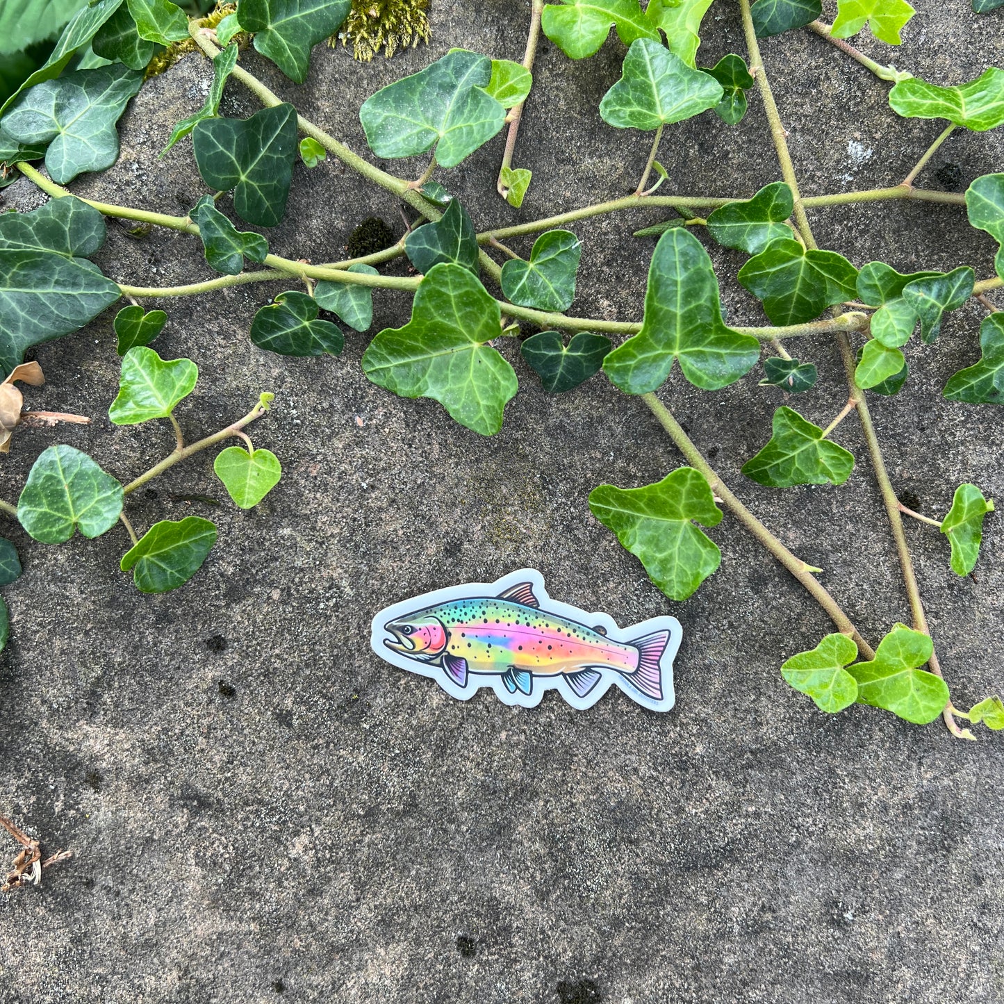 Rainbow Trout Vinyl Sticker- Durable Nature Art