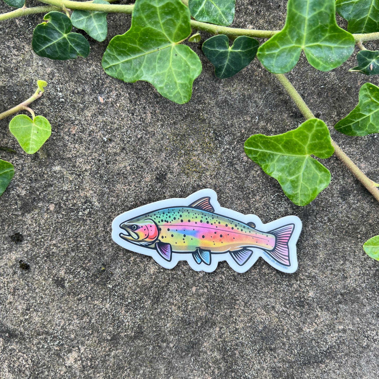 Rainbow Trout Vinyl Sticker- Durable Nature Art