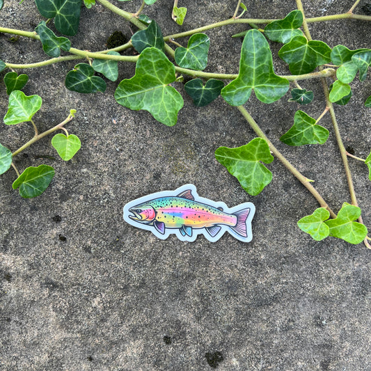Rainbow Trout Vinyl Sticker- Durable Nature Art