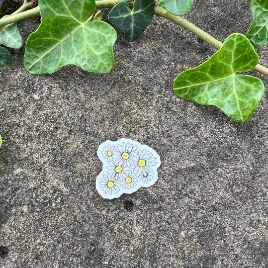 PNW Daisies Mini Sticker- Durable Hand-Drawn Nature Art