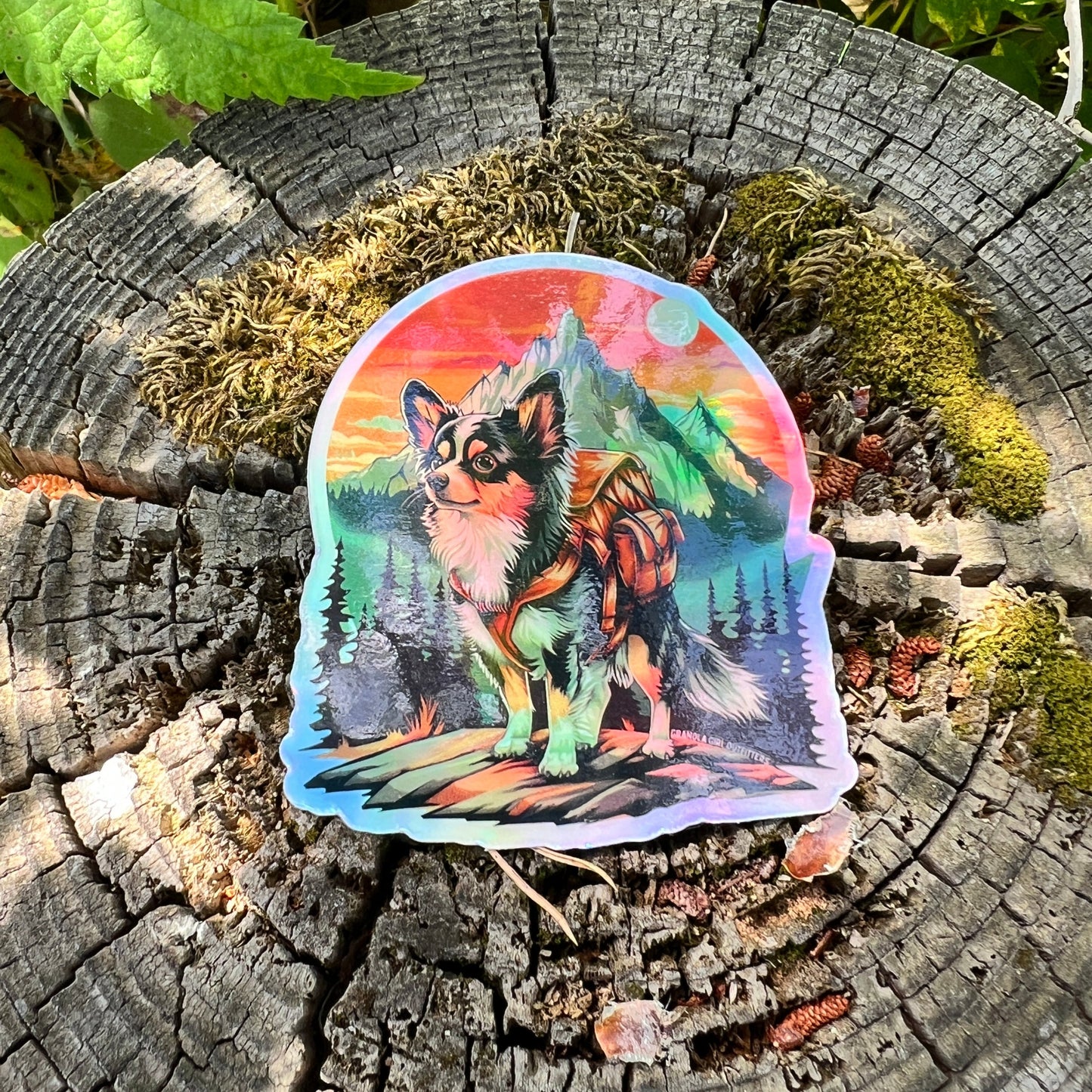 Finn the Adventure Chihuahua Holographic Sticker