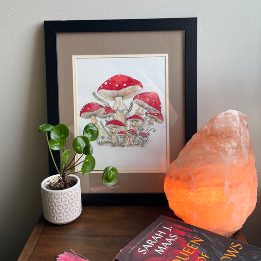 Red Cap Mushrooms –  Fine Art Print by Caitlin Tobey | 8x10