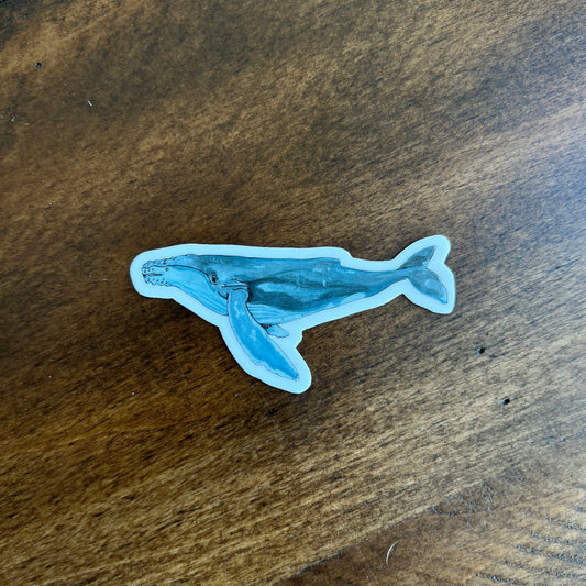 Humpback Whale Sticker