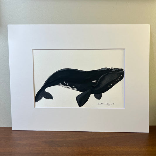 Signed "North Pacific Right Whale" Original Gouache Painting #8/9