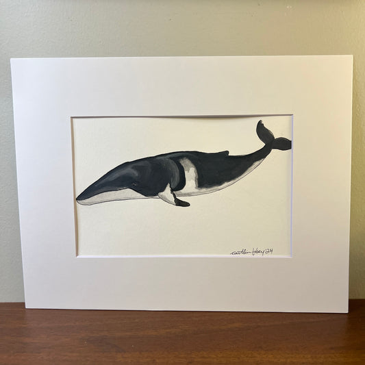Signed "Common Minke Whale" Original Gouache Painting #4/9