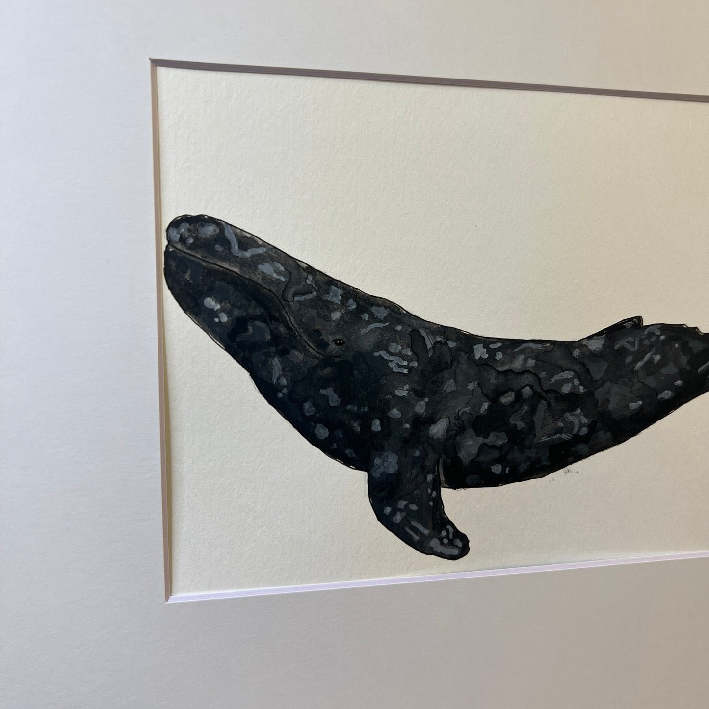 Signed "Gray Whale" Original Gouache Painting #3/9